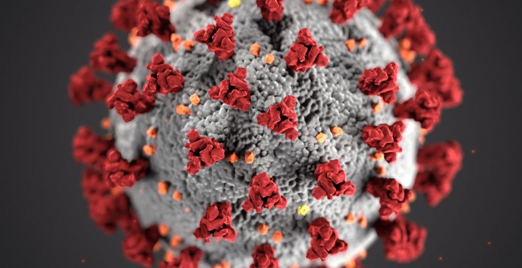 Das neuartige Coronavirus in einer Darstellung der CDC - Symbolbild für die Schließung des Vringstreff