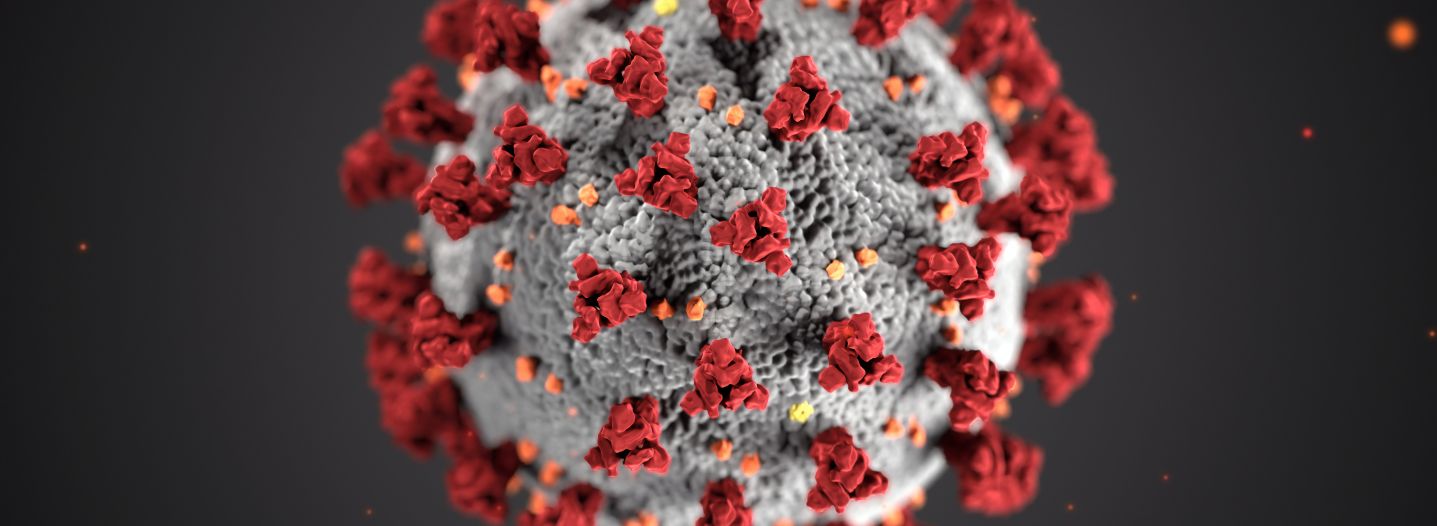 Das neuartige Coronavirus in einer Darstellung der CDC - Symbolbild für die Schließung des Vringstreff
